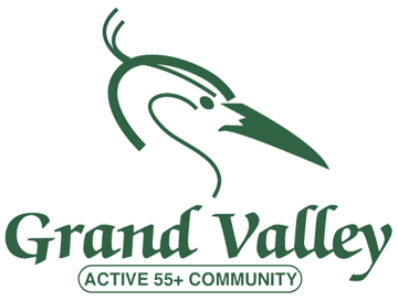 GV-transparent logo